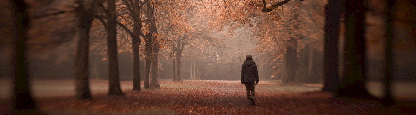 Depressionen Spaziergang in einer Allee - ©
