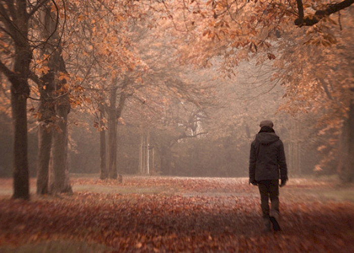 Depressionen Spaziergang in einer Allee - ©